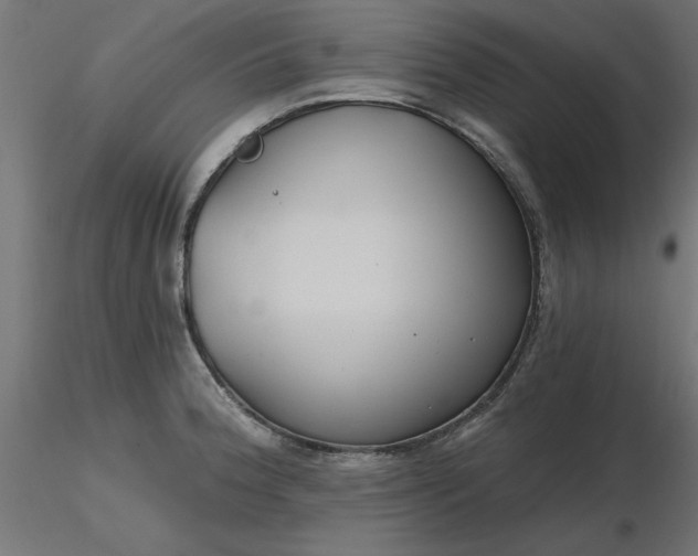 X0000116671188200912291652