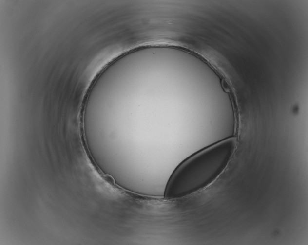 X0000116671189200912291652