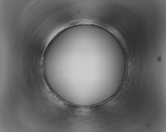 X0000116671190200912291652