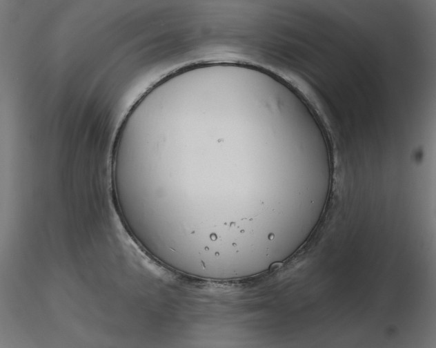 X0000116671191200912291652