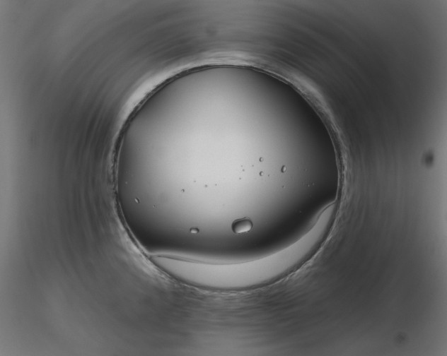 X0000116671192200912291652