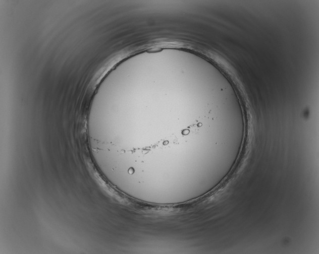 X0000116671193200912291652