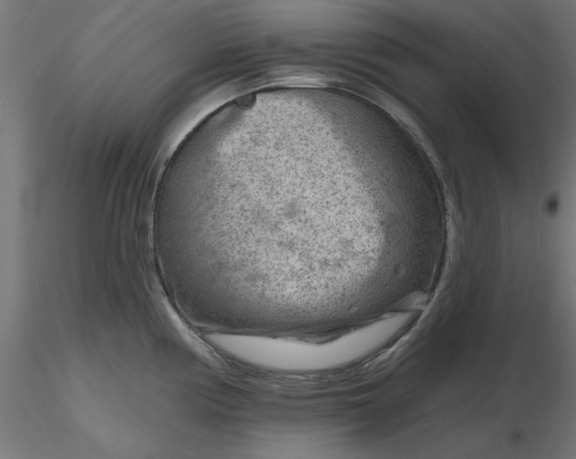 X0000116671194200912291652