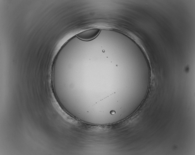 X0000116671195200912291652