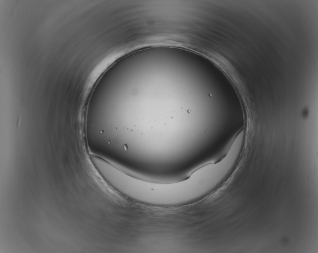 X0000116671196200912291652