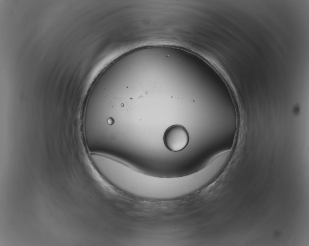 X0000116671197200912291652