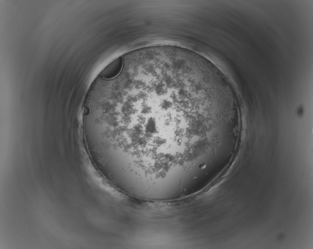 X0000116671198200912291652