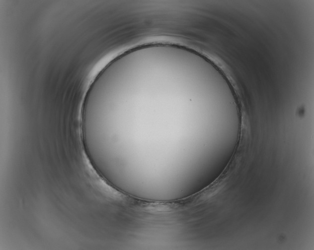 X0000116671199200912291652