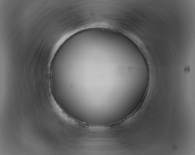 X0000116671200200912291652