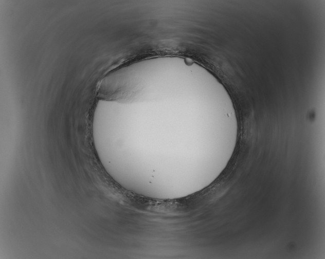 X0000116671201200912291651