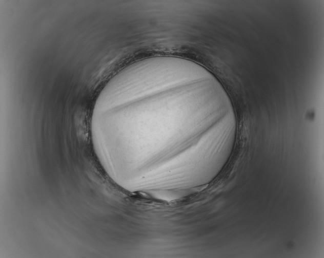 X0000116671202200912291651