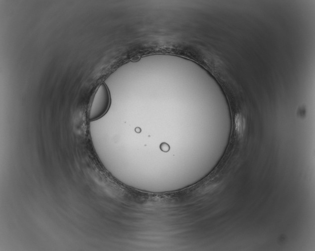 X0000116671203200912291651