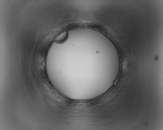 X0000116671204200912291651