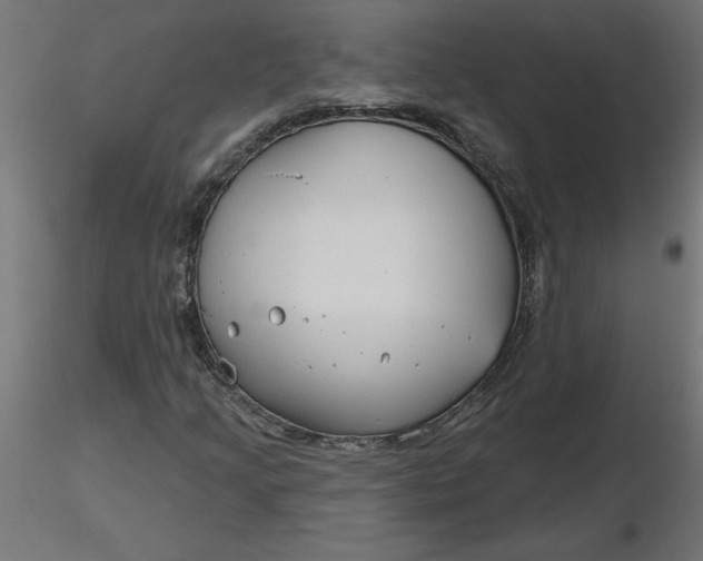 X0000116671205200912291651