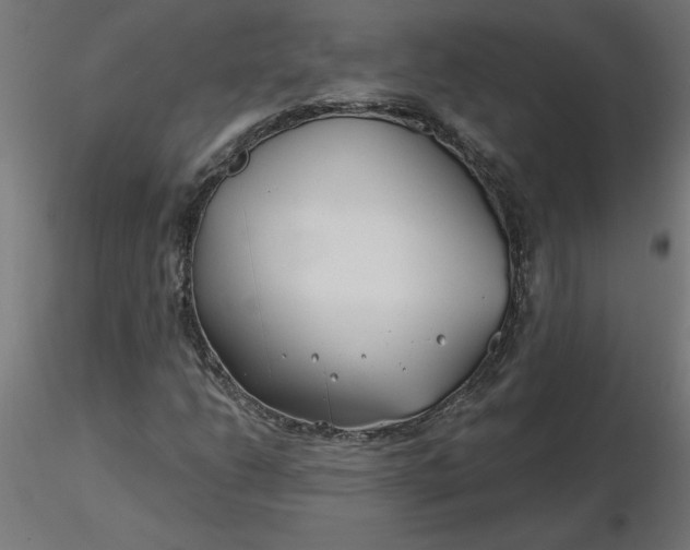 X0000116671206200912291651