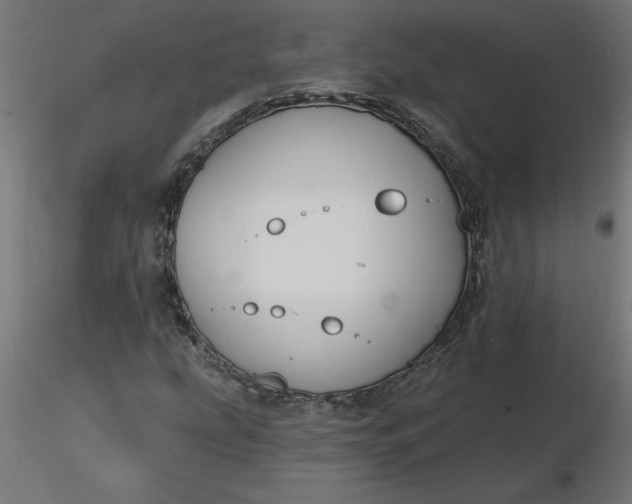 X0000116671207200912291651