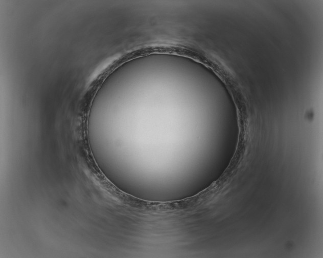 X0000116671208200912291651