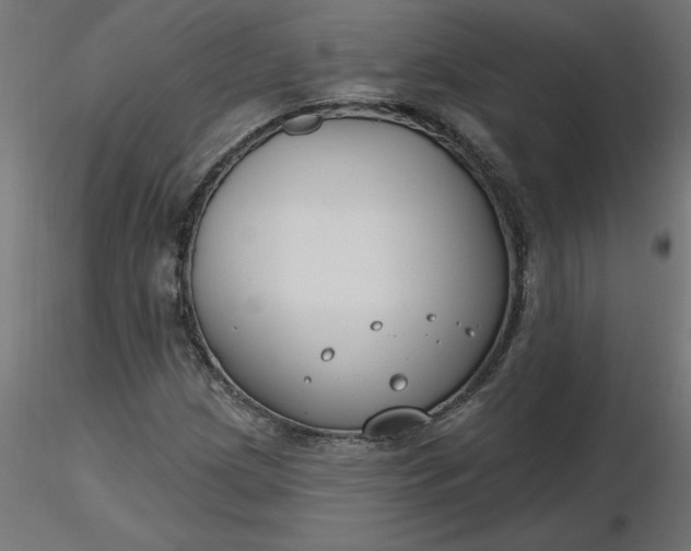 X0000116671209200912291651