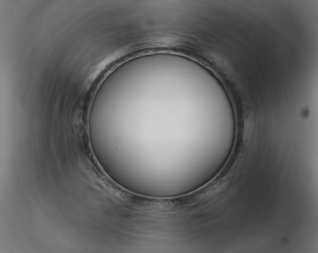 X0000116671210200912291651