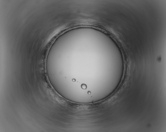 X0000116671211200912291651