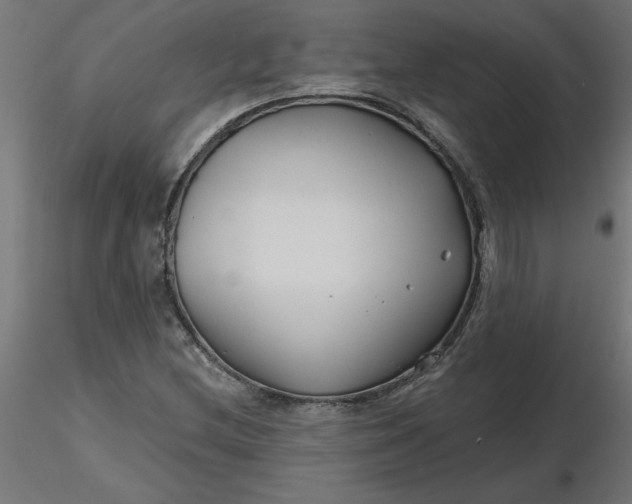 X0000116671212200912291651