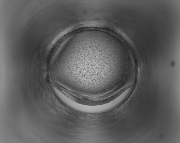 X0000116671213200912291651