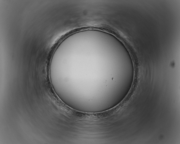 X0000116671214200912291651