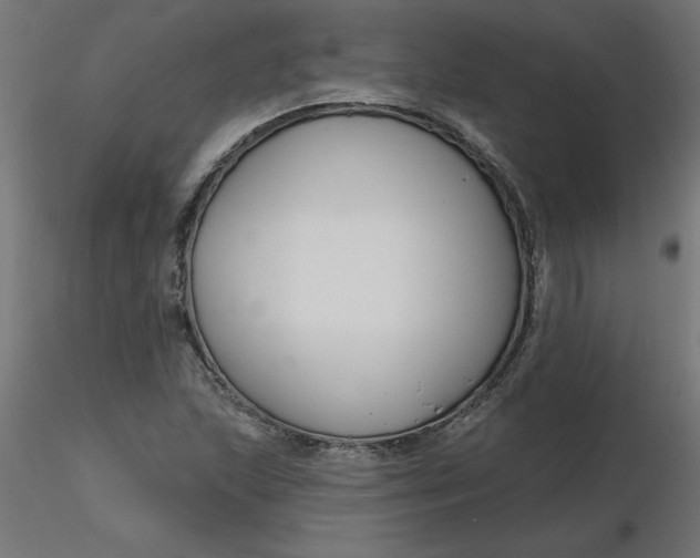 X0000116671215200912291651