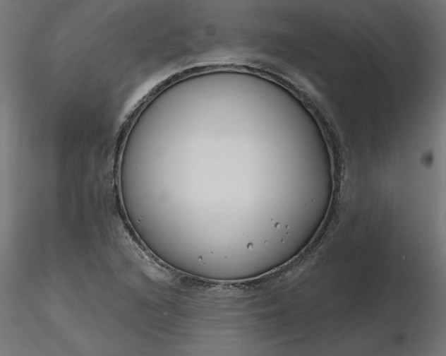 X0000116671216200912291651