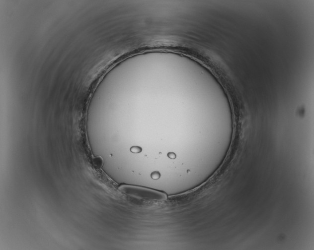 X0000116671217200912291651