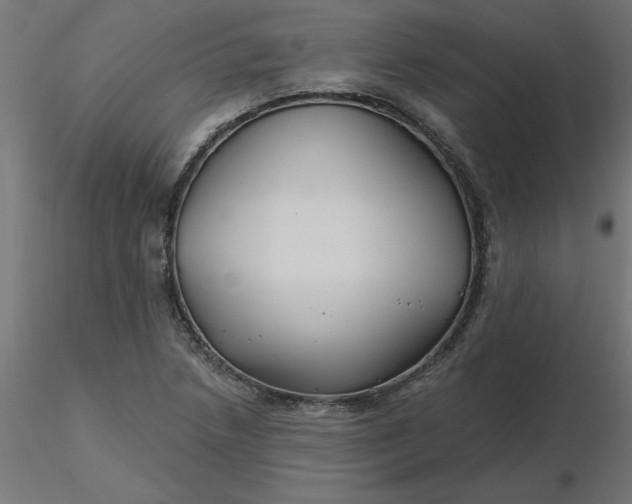 X0000116671218200912291651