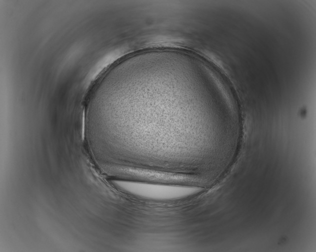 X0000116671219200912291651