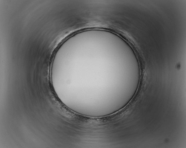 X0000116671220200912291651