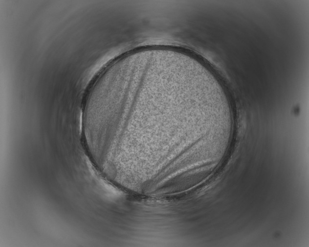 X0000116671221200912291651