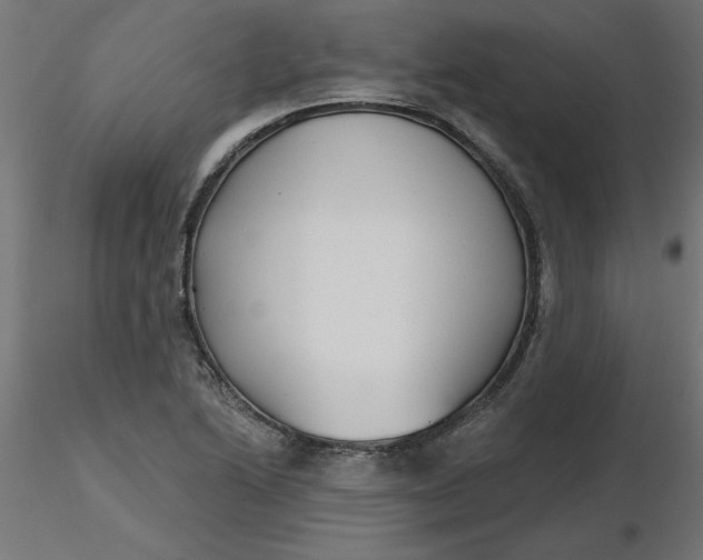 X0000116671222200912291651