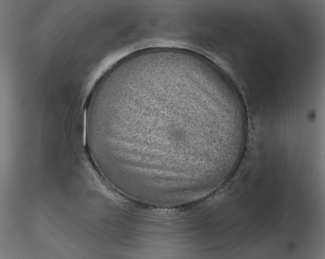 X0000116671223200912291651