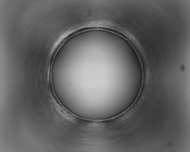 X0000116671224200912291651