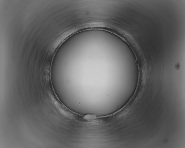 X0000116671225200912291651