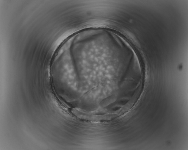 X0000116671226200912291651