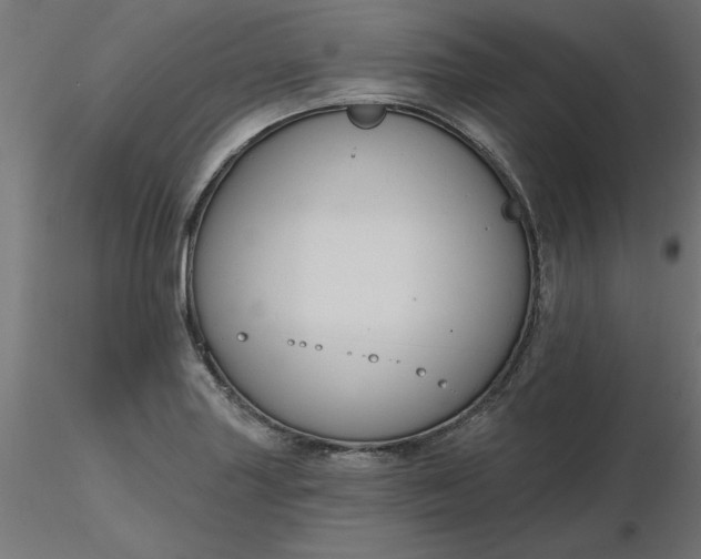 X0000116671227200912291651