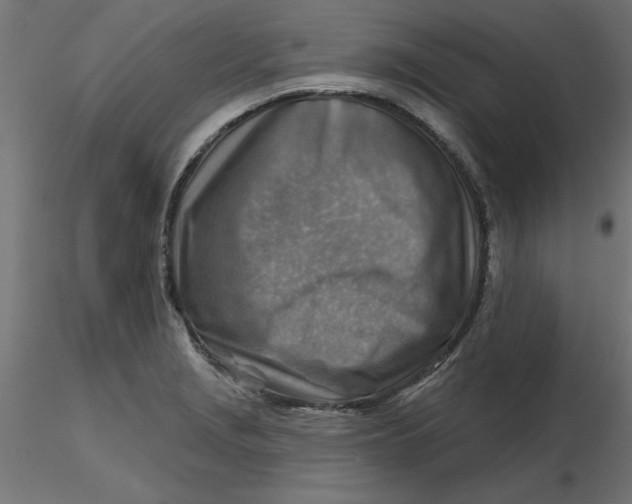 X0000116671229200912291651