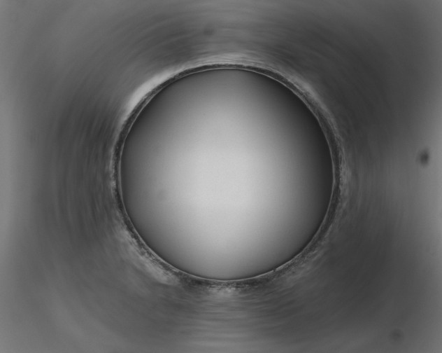 X0000116671230200912291651