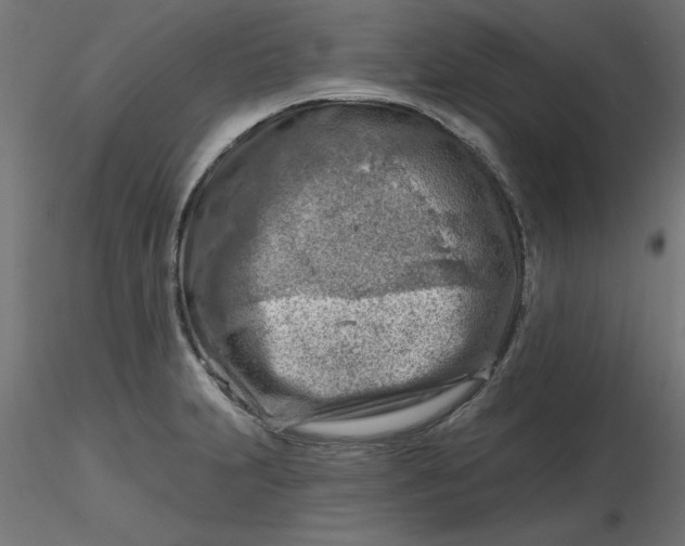 X0000116671231200912291651