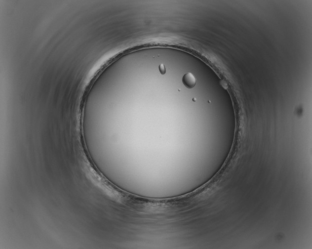 X0000116671232200912291651