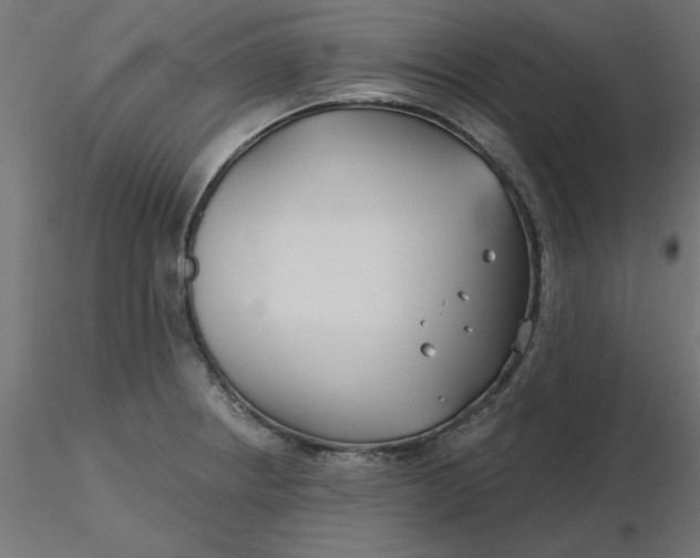 X0000116671234200912291651