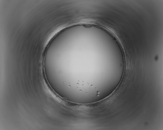 X0000116671235200912291651