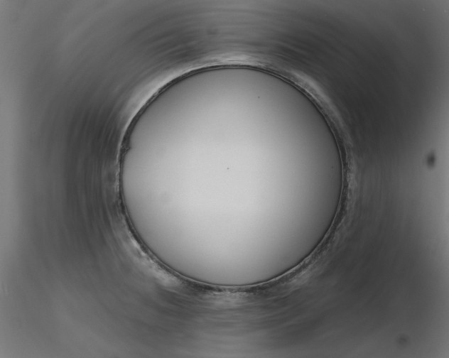 X0000116671236200912291651