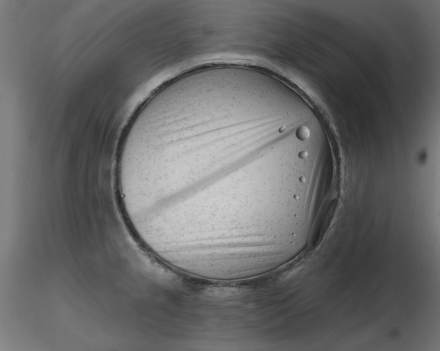 X0000116671237200912291651