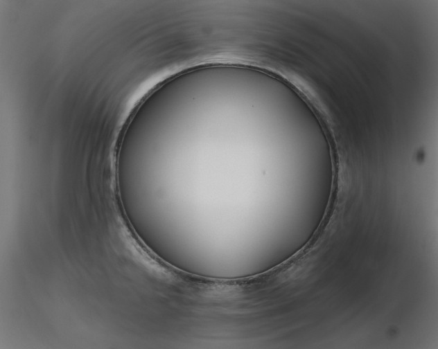 X0000116671238200912291651