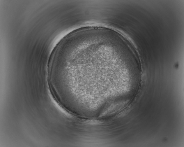 X0000116671239200912291651